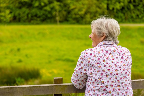 Elderly lace housing resident looking over a field