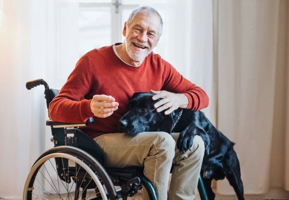 Wheelchair resident stroking black dog