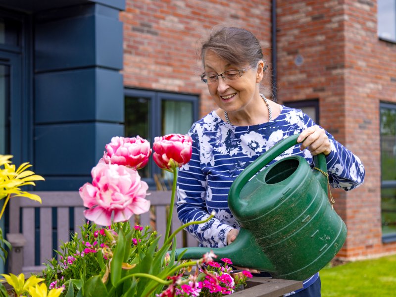 Lace Housing resident watering plants