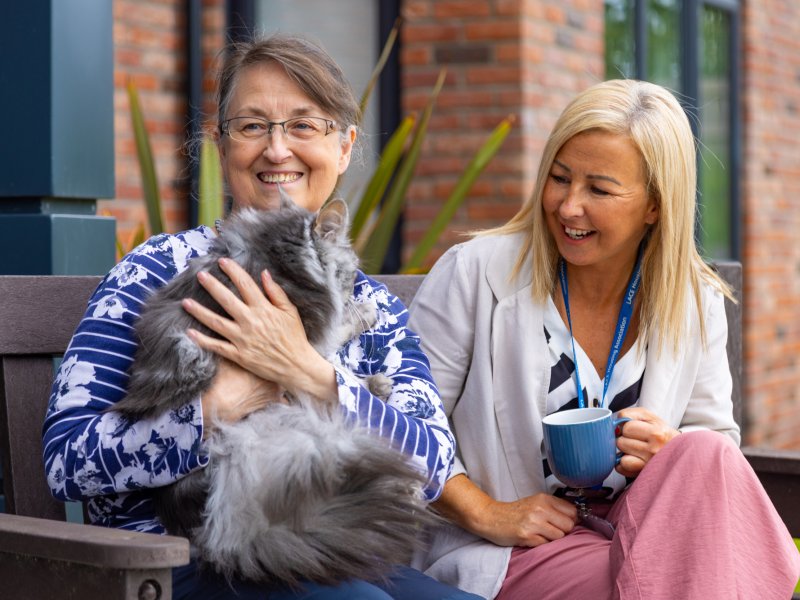 Lace Housing resident stroking a cat